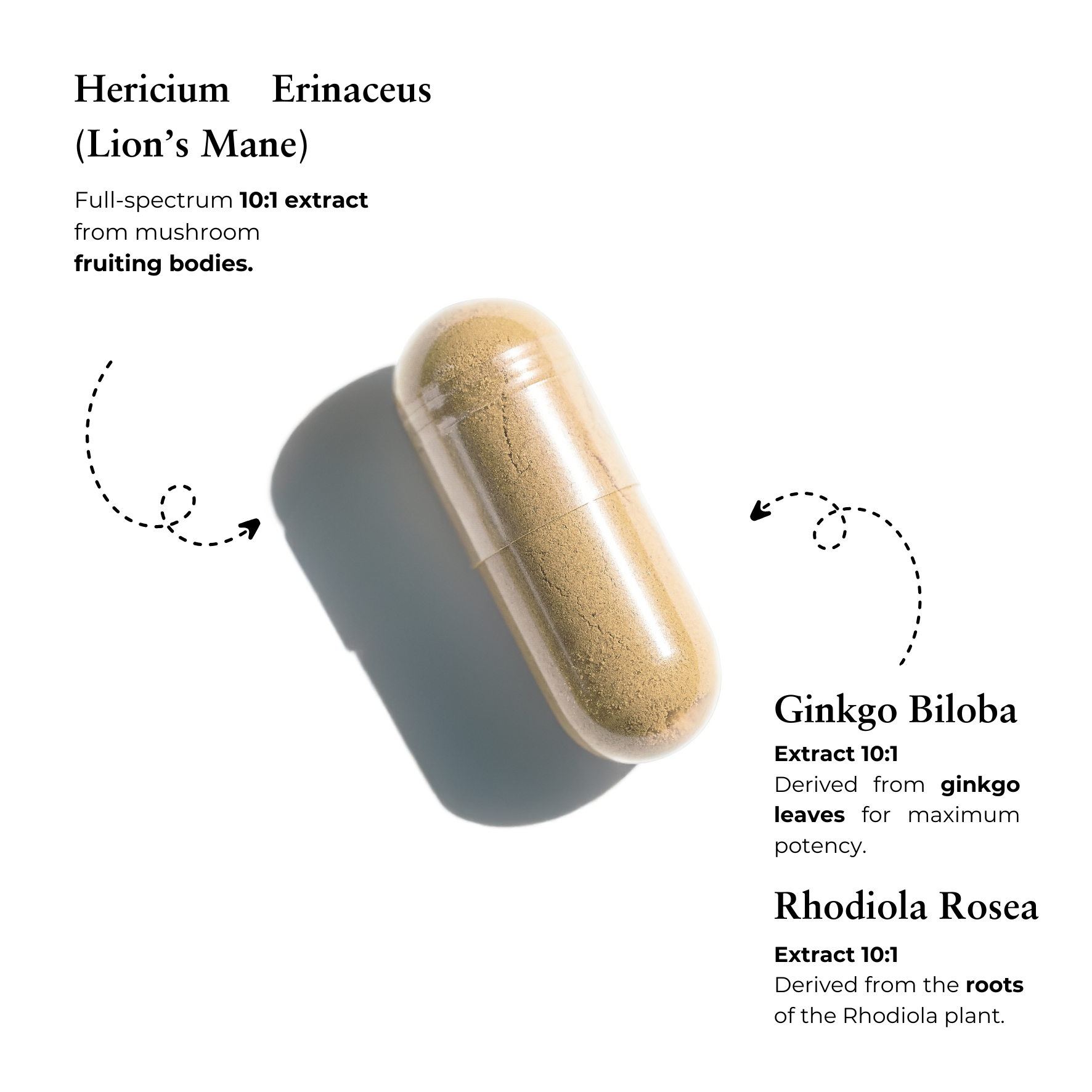 Hericium_Erinaceus_Rhodiola_Rosea-3.png