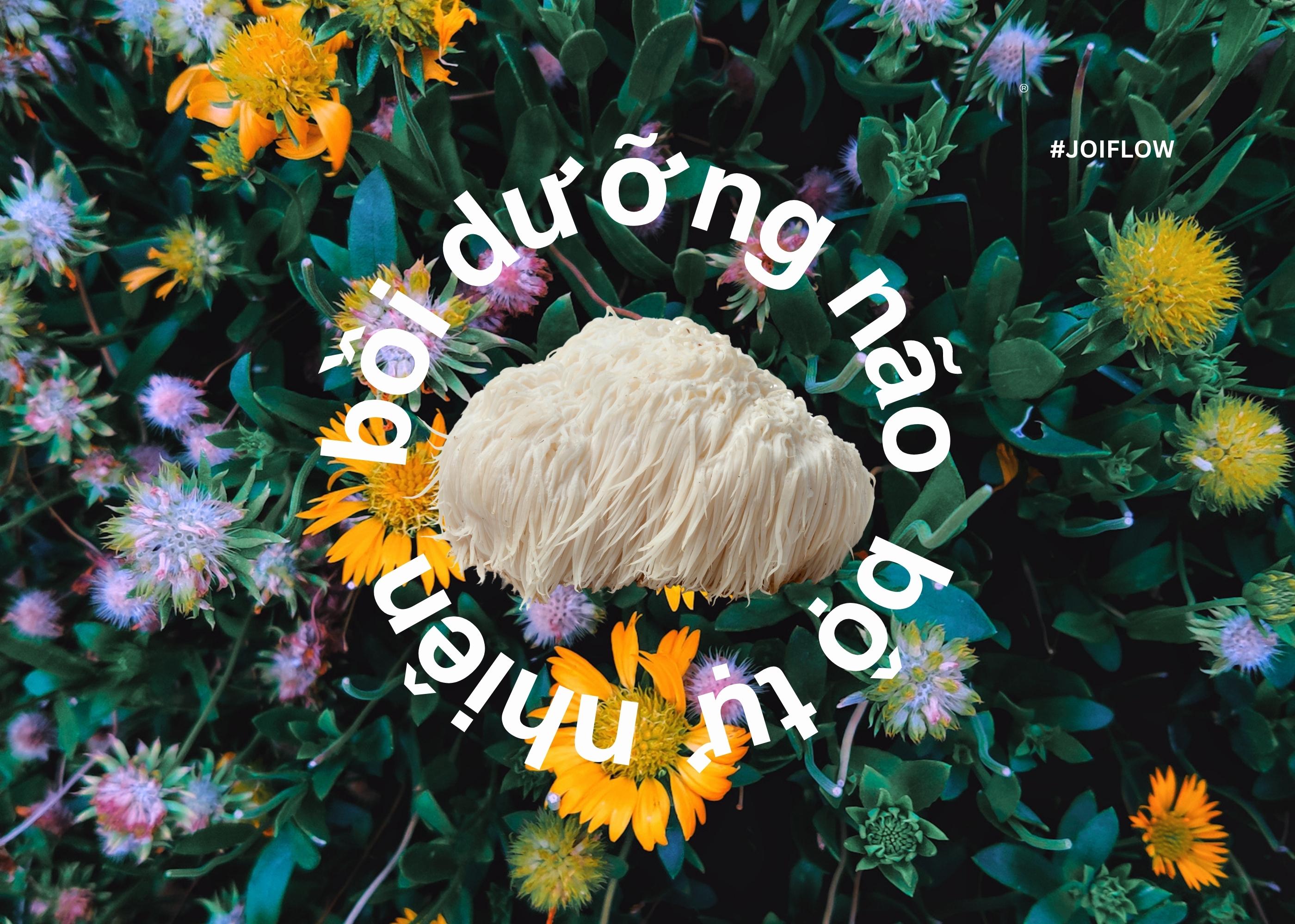 Unveiling the Marvels of Lion's Mane Mushroom: Nature's Cognitive Enhancer