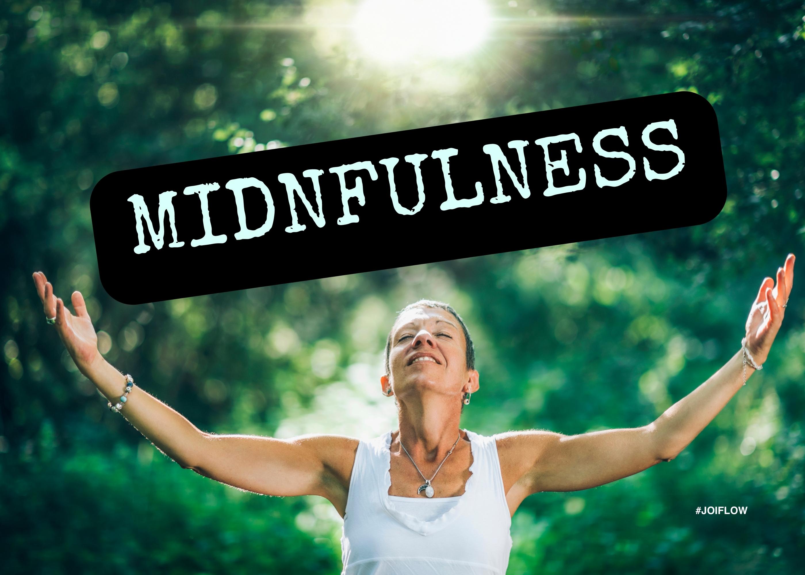🌿 Cultivating Mindfulness and Stress Management: Nurturing Inner Peace and Well-Being 🧘‍♂️