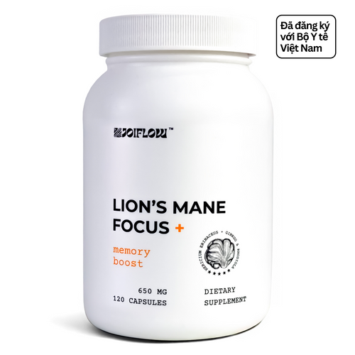 Lion's Mane Focus + | Viên Nang Chiết Xuất Nấm Hầu Thủ Hỗ Trợ Tuần Hoàn Máu Não